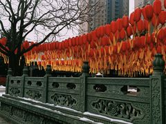 -护国法轮寺