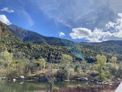 -林芝工布庄园希尔顿酒店-猎味中餐厅