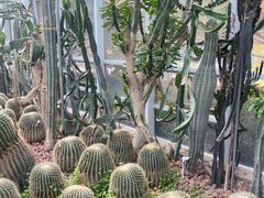 -郑州植物园