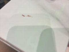 -洪氏嗨捞·广东猪肚鸡·椰子鸡火锅(西咸万象城店)