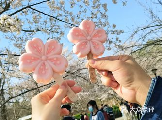 周末去的，人超级多，一进门感觉满眼全是花和人