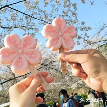 周末去的，人超级多，一进门感觉满眼全是花和人