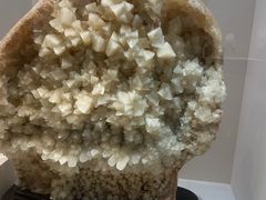 -安徽省地质博物馆