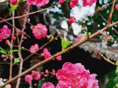 -乌山风景区