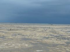 -北海金海湾红树林生态旅游区