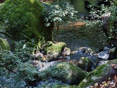 -昆明青龙峡风景区