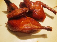 脆皮妙龄鸽-新荣记(新源南路店)