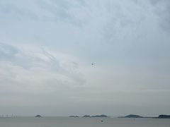 -野狸岛