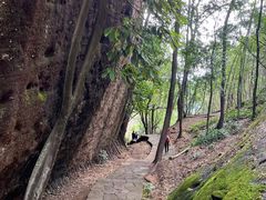 -武夷山风景名胜区-虎啸岩