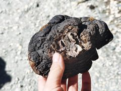 -稻城亚丁风景区-电瓶观光车售票处