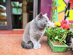 -Rabbit Cafe私房西餐甜点咖啡(栖霞路店)