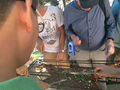 -三岔湖高家庄农家乐烤全羊柴火鸡翘壳鱼(三岔湖店)