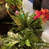 愉悦氛围感MAX