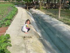 -洪湖家庭农场·团建·露营·会议