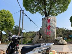 -军营村