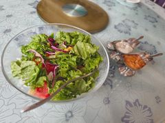蔬菜沙拉-额尔古纳风情源非遗俄餐