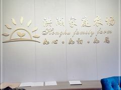 -洪湖家庭农场·团建·露营·会议