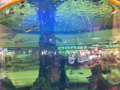 -尚泰清迈机场购物中心