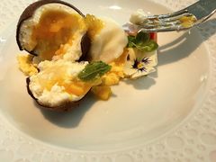 -蝶舍·MAISON PAPILLON