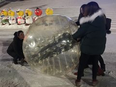 -沈阳奥体冰雪嘉年华