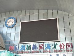 -烟台海昌鲸鲨海洋公园