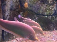 -常州海昌海洋探索馆