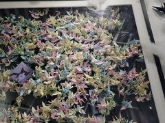 -星空失恋博物馆(双子塔旗舰店)