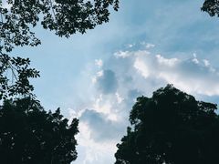 -广州珠江公园