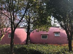 -永泰中国云顶