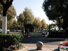 -合肥滨湖国家森林公园