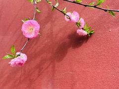 -西安市广仁寺