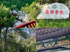 -禅宗少林·音乐大典