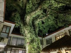 -普陀山雷迪森庄园
