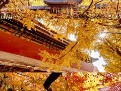 -沉浸北京·团建旅行·密室剧本杀·年会会议轰趴拓展