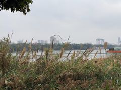 -南宁南湖公园