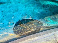 -沈阳海洋探索中心