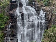 -海南热带雨林国家公园吊罗山景区