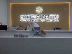 -瑞派雷欧宠物医院·24h夜诊·心脏骨科牙科·全科重症转诊中心(无影山店)