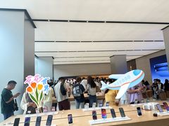 -Apple零售店(玄武湖店)