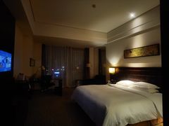 -上海浦东国际旅游度假区绿地铂骊酒店