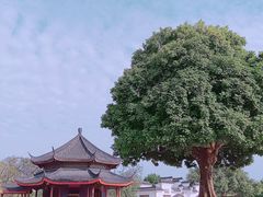 -广东圆玄道观