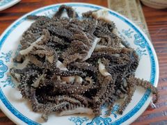 -老爆肚满五香烧牛羊肉