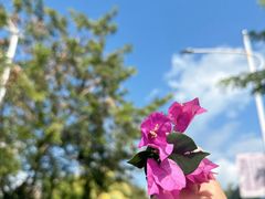 -三亚西岛海洋文化旅游区