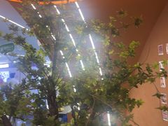 -满纷轰趴·生日聚会·公司团建·城市系列(前海店)