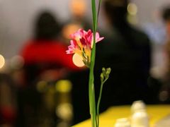 -德迹斋禅意文化茶馆·茶空间·商务洽谈•宴席(桃园店)