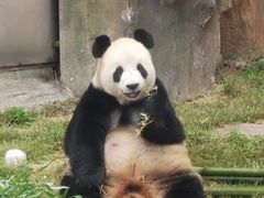 -大连森林动物园