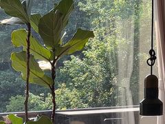 -简象咖啡CAFE ELE JANE(满陇桂雨店)