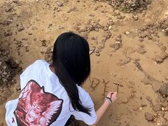 -瑶湖郊野森林公园