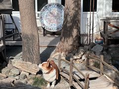 -陶野咖啡·面包披萨