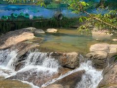 -广州白江湖森林公园